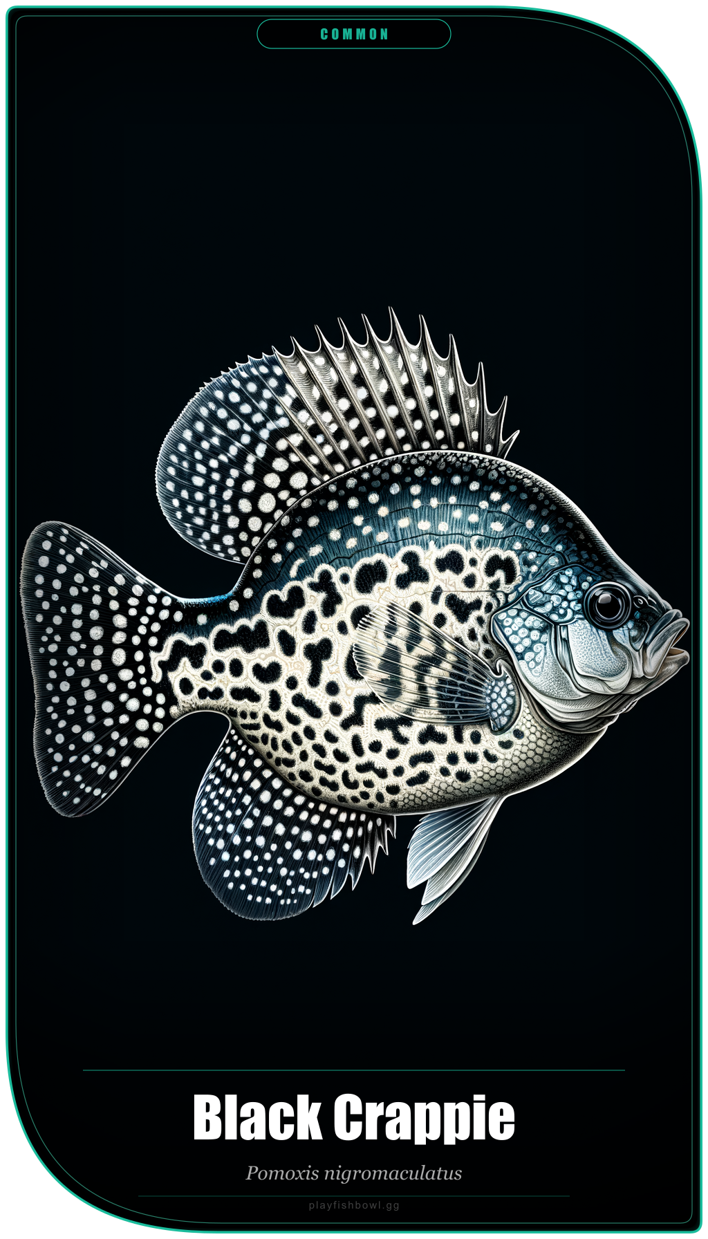 Common Founding Fish